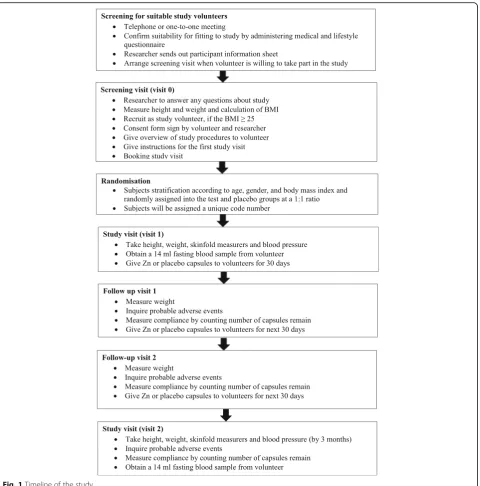 Fig. 1 Timeline of the study