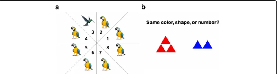 Fig. 2 Examples of the PowerPoint versions of BrainHQ games. a Hawk eye: search for a different bird and determine the location of that bird.b Divided attention: determine whether the two figures have the same color, shape, or number