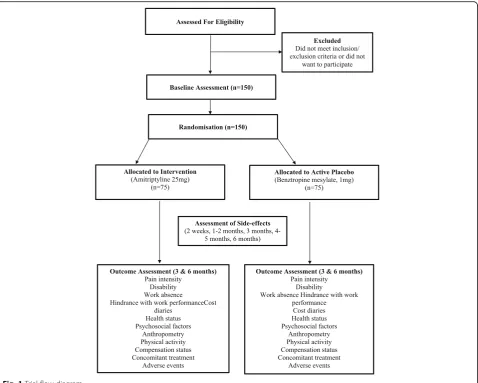 Fig. 1 Trial flow diagram