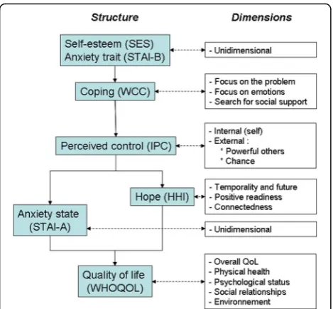 Fig. 1 Construct of the psychological model enabling the evaluationof the study endpoints