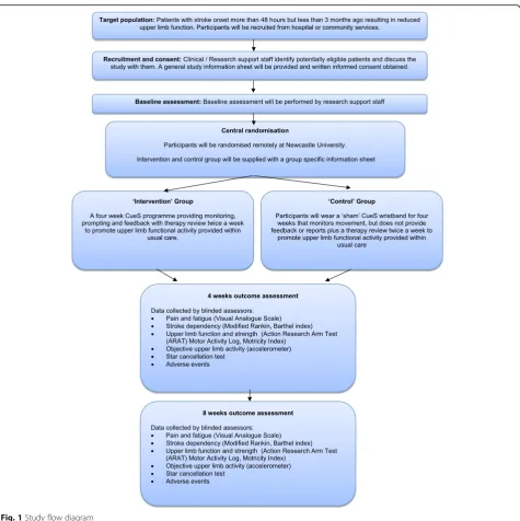 Fig. 1 Study flow diagram