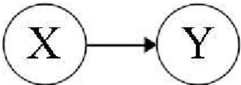 Figure 1.3  shows  a  graphical  model  expressing  the  causal  relation  “X  causes  Y”