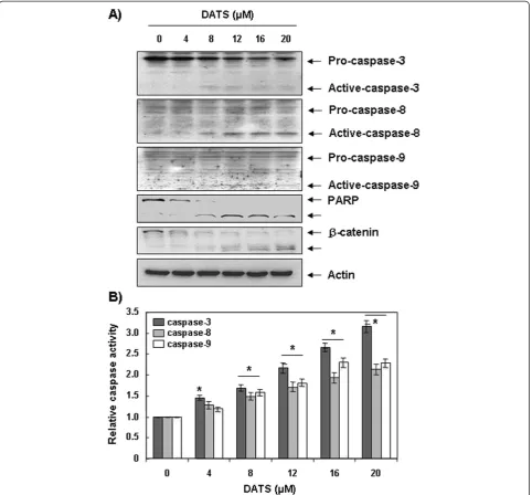 Figure 4 Activation of caspases and degradation of PARP and β-catenin protein by DATS treatment in U937 cells