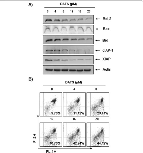 Figure 5 Effects of DATS on levels of Bcl-2 and IAP family proteins, and MMP values in U937 cells