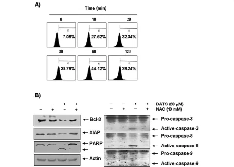 Figure 6 ROS generation and effects of NAC treatment on modulation of Bcl-2, XIAP, caspases and PARP proteins by DATS in U937was measured using a flow cytometer