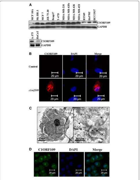 Figure 4 (See legend on next page.)