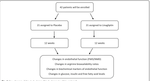 Fig. 1 Flow diagram of the study design (*study dropouts will be replaced)
