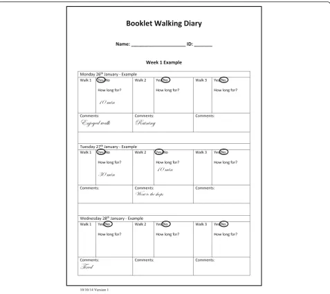 Fig. 3 Example of a page from the nonoptimised diary