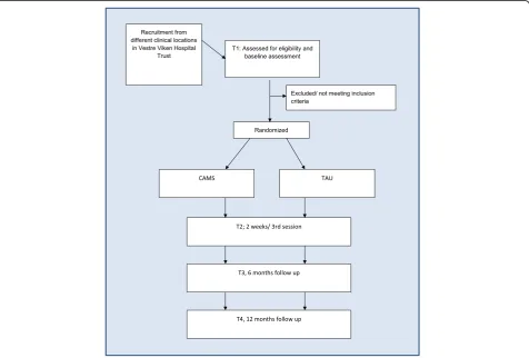 Table 1 Measurements at follow-up