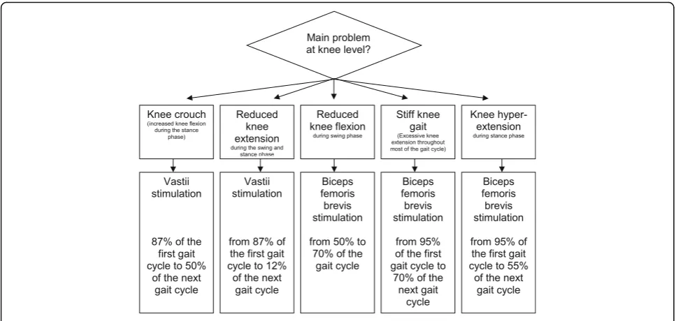 Fig. 3 Examples of thigh cuff muscle activation during the gait cycle