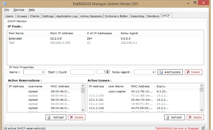 Figure 11 - DHCP Tab 