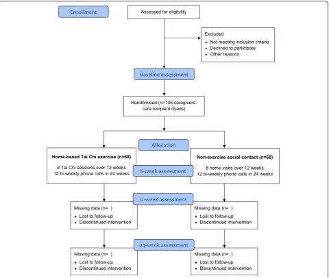 Fig. 1 Consolidated Standards of Reporting Trials (CONSORT) flow diagram of the home-based exercise trial