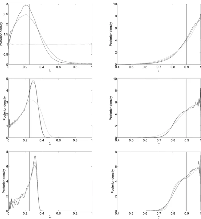 Figure 3.1: Hidden Markov model example using MCMC ABC. The estimated posteriors of λ and γ for