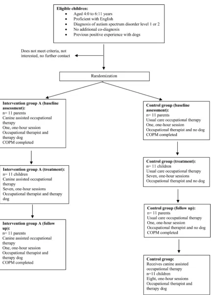 Figure 1. CONSORT flow chart of canine assisted occupational therapy [35]. 