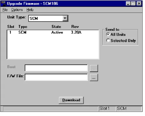 Figure 3-13  Upgrade Firmware Window