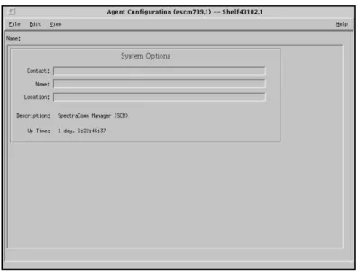 Figure 3-1 System Options Agent Configuration Window 