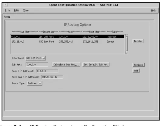 Figure 3-4 IP Routing Options Agent Configuration Window