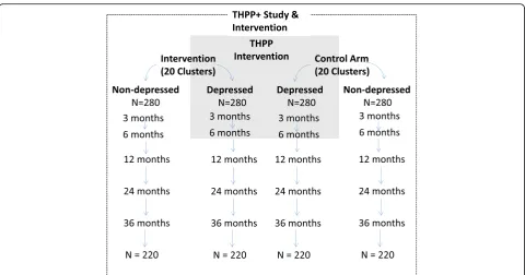 Fig. 1 THPP+ study (both the trial of perinatally depressed mothers and the reference group of perinatally nondepressed mothers) in relation tothe THPP intervention trial showing anticipated loss to follow-up