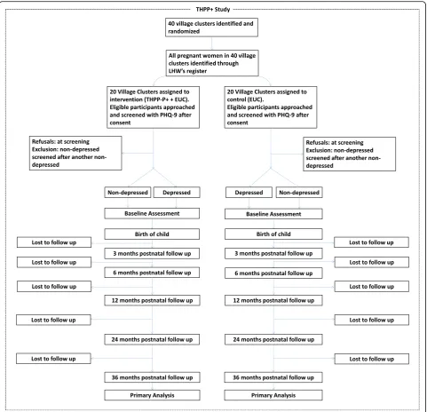 Fig. 2 Flow chart of the THPP+ study