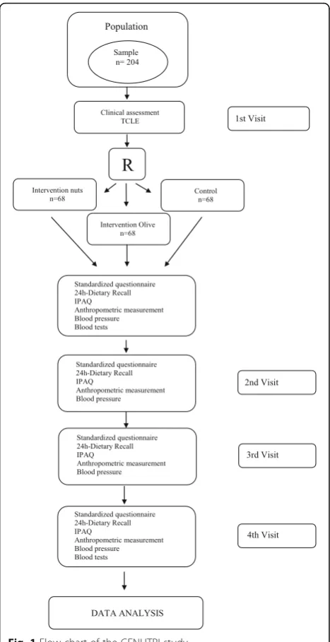 Fig. 1 Flow chart of the GENUTRI study