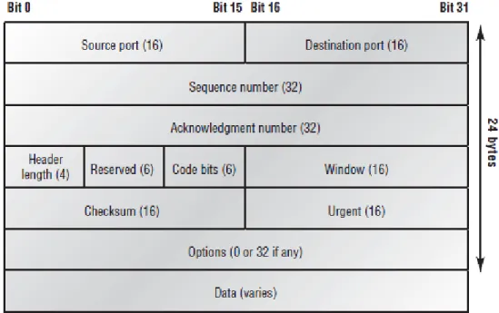 Figure 1.7 shows the TCP segment format. The figure shows the different fields within the TCP  header