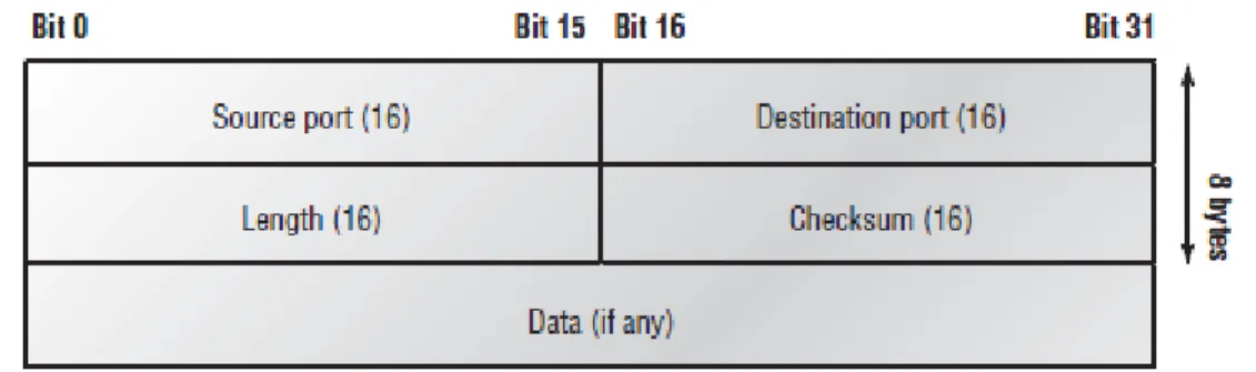 Figure 1.8 clearly illustrates UDP’s markedly low overhead as compared to TCP’s hungry usage
