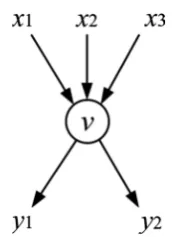 Figure 1. Coding node v. 