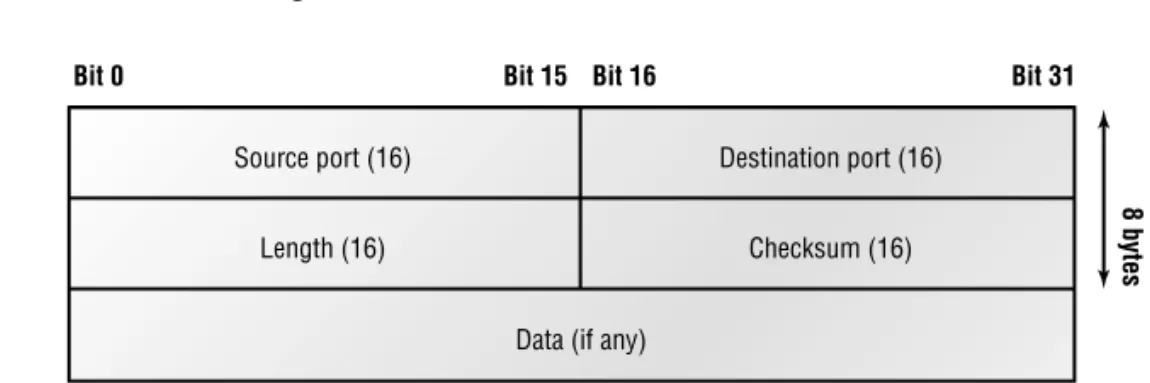 Figure 2.4 clearly illustrates UDP’s markedly low overhead as compared to TCP’s hungry usage
