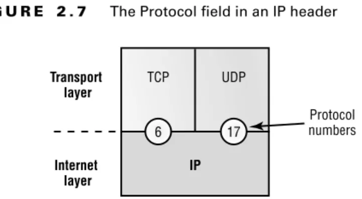 Table 2.3 is a list of some other popular protocols that can be specified in the Protocol field.