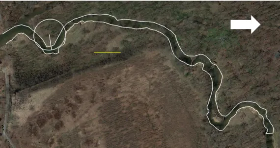 Figure 3. An air-photo of the study area along Seneca Creek. The superimposed yellow bar represents 100 meters  length, the superimposed white arrow represents north direction