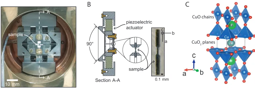 Fig. 1 Strain device (A) Photograph of the Piezo-electric device (B) Sectional cut of the device 
