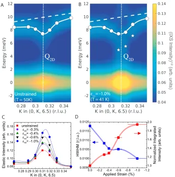 Fig. 2. Strain dependence of the IXS spectra around 
