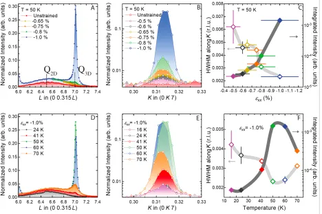 Fig. 3. Strain dependence of the quasi-elastic line at 