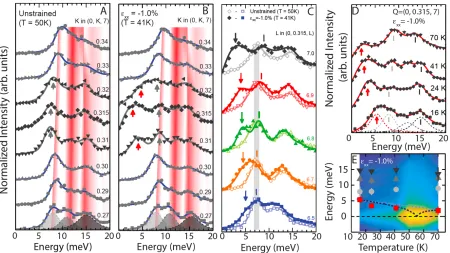 Fig. 4. Strain dependence of the phonon spectra around 