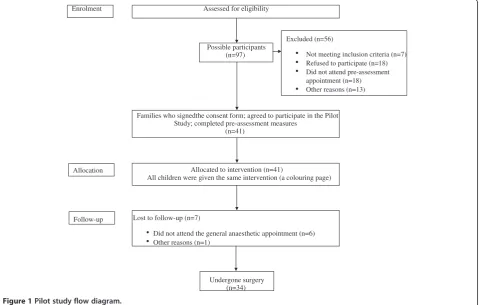 Figure 1 Pilot study flow diagram.