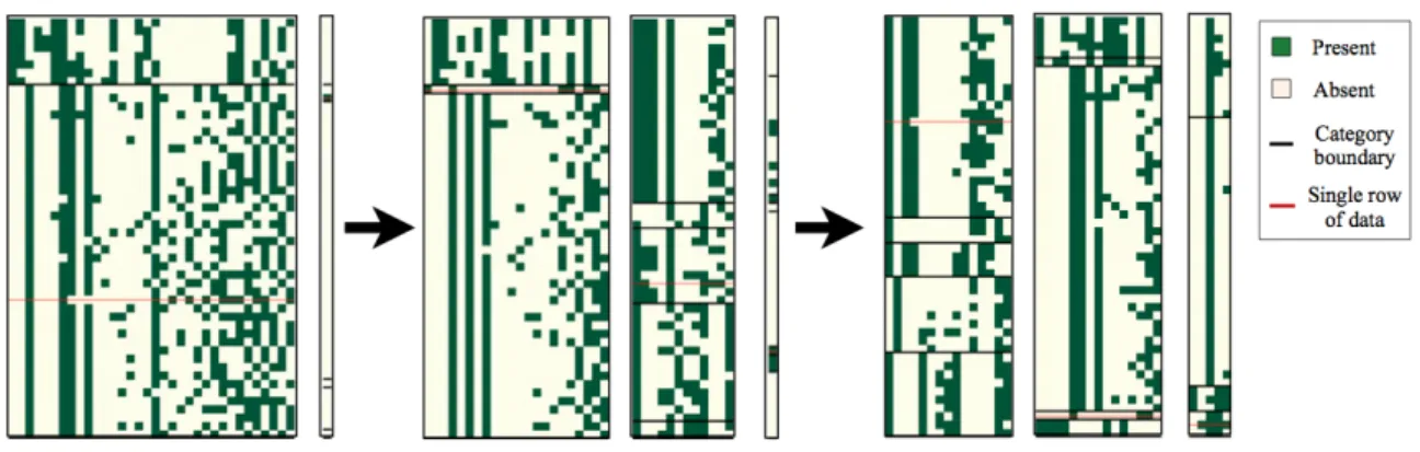 Figure 3: Snapshots of the Markov chain for cross-categorization on a dataset of human object-feature judgments