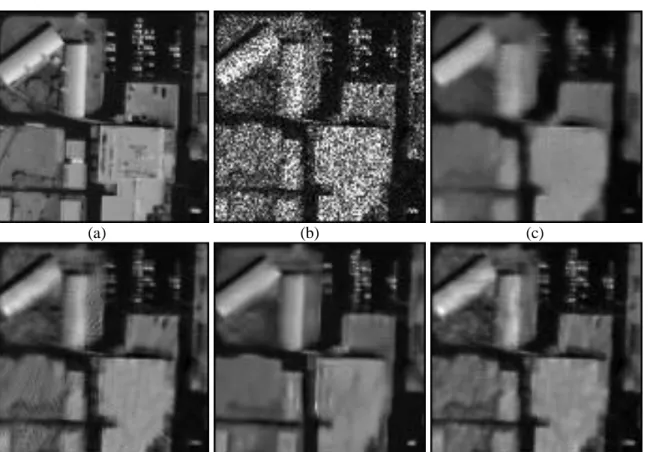 Figure 5.5: Zoom of IKONOS image degraded by single look speckle noise, (a) clean image, (b) noisy image, (c)  PPB, (d) LPG-PCA, (e) SAR-BM3D, (f) the proposed method
