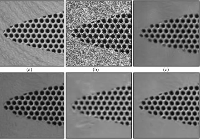 Figure 5.6: Zoom of synthesized texture image degraded by single look speckle noise, (a) clean image, (b) noisy  image, (c) PPB, (d) LPG-PCA, (e) SAR-BM3D, (f) the proposed method