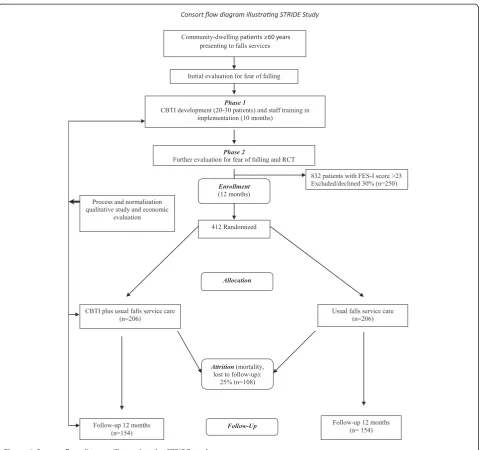 Figure 1 Consort flow diagram illustrating the STRIDE study.