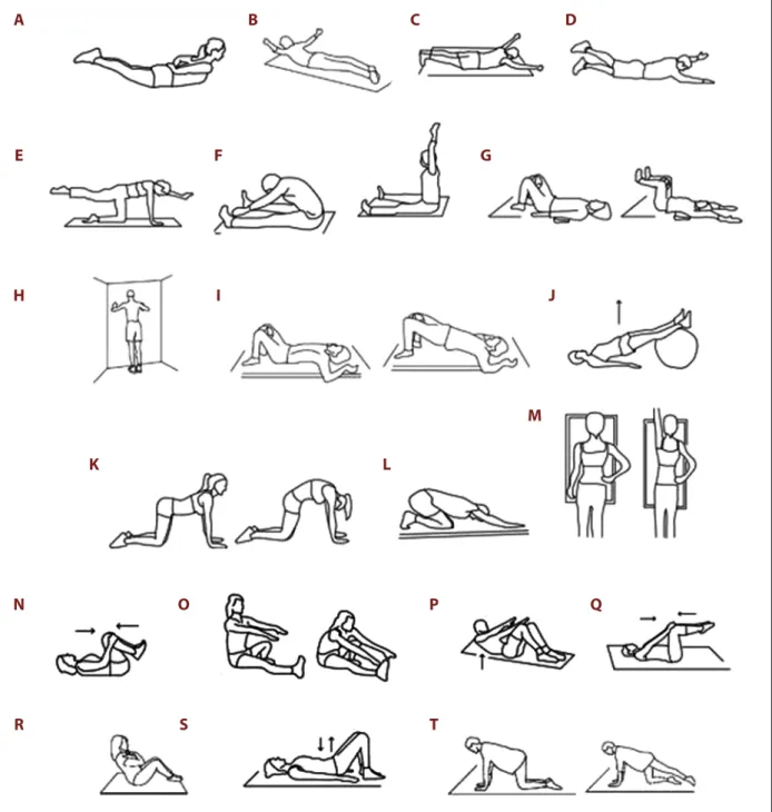 Figure 2.  Pilates exercises examples: (A) back hyperextension, (B) back hyperextension from T prone position, (C) back hyperextension  from Y prone position, (D) arm and leg rise in prone position, (E) quadruped arm/leg rise, (F) back hyperextension with 