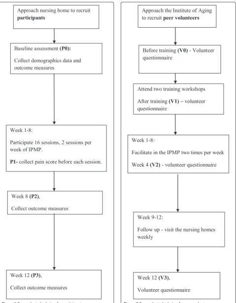 Figure 1 Research study design for participants.