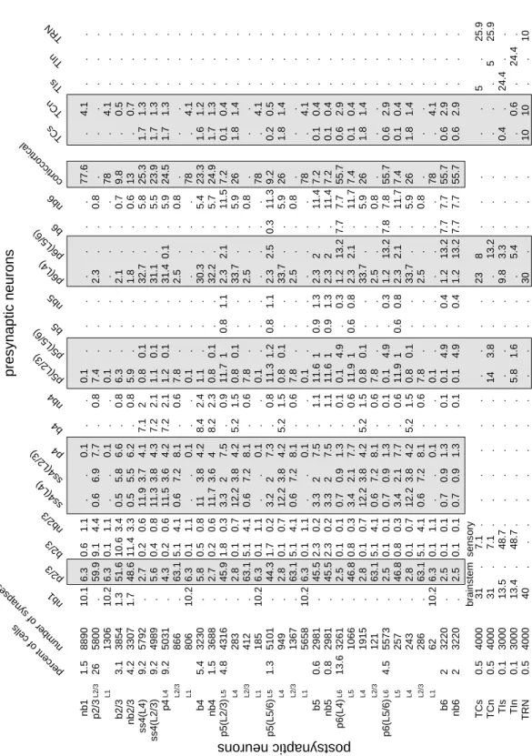 Figure 9: Distribution of neuronal types and synapses in the model. Each row represents a single postsy- postsy-naptic neuron of a certain type