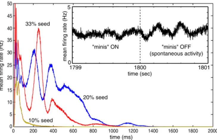 Fig. 4. Spontaneous activity in the model. Main graph: Activity (shown as mean firing rate in the network) dies out within the first few seconds of simulation regardless of the number of seed spikes introduced at the  begin-ning of the simulation