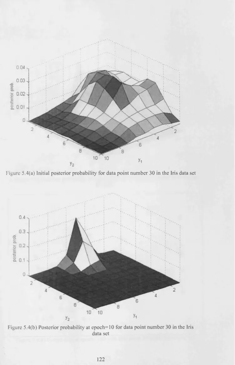 Figure 5.4(a) Initial posterior probability for data point number 30 in the Iris data set