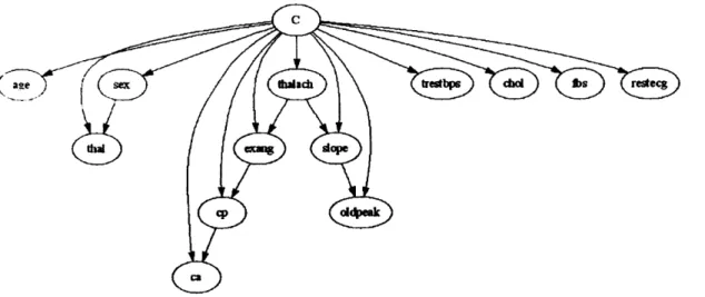 Figure 3.6 Network structure for the “Cleve” data set obtained by the SBN classifier  when 50% o f the instances are used for training.