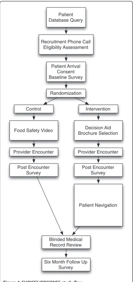 Figure 1 CHOICES/OPCIONES study flow.