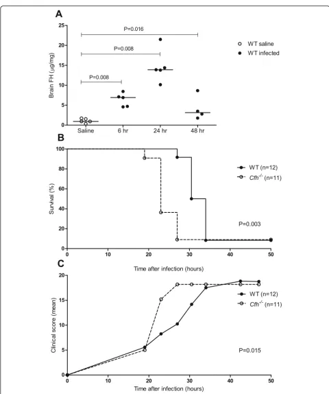 Fig. 3 Expression of FH during experimental pneuomococcal meningitis and the effect of FH deficiency on clinical severity and survival
