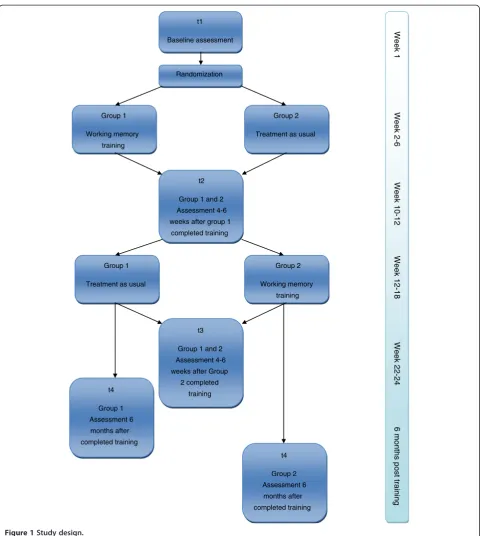 Figure 1 Study design.