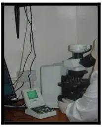 Figure 7-B:  LPB-stained wet mount method for fungus 