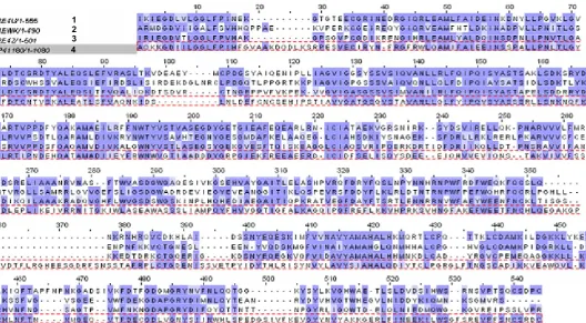 Figure 2. Conserved Dmain search output. Gray line is CaR sequence and Red box is conserved binding domain